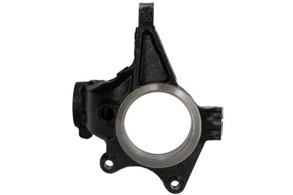 Steering Knuckle, wheel suspension RH08-2007