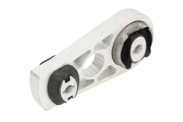 REINHOCH RH11-2171 Mounting, engine