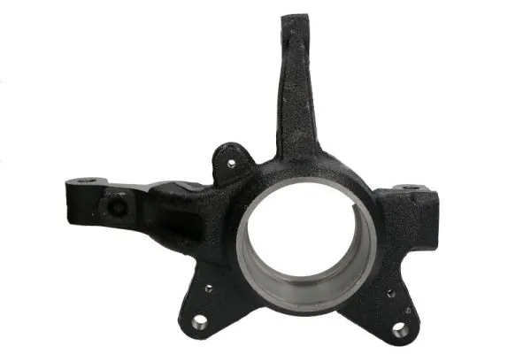 Steering Knuckle, wheel suspension RH08-2019