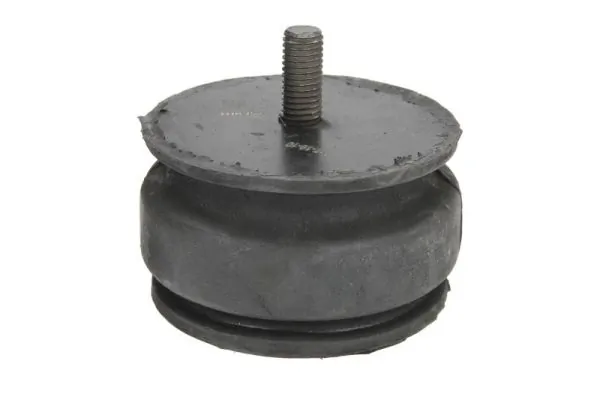 REINHOCH RH11-4002 Mounting, engine