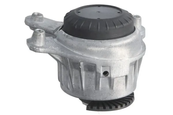 REINHOCH RH11-3160 Mounting, engine