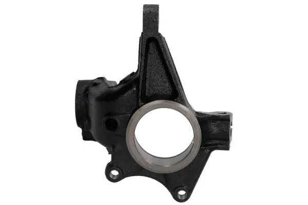 Steering Knuckle, wheel suspension RH08-2009