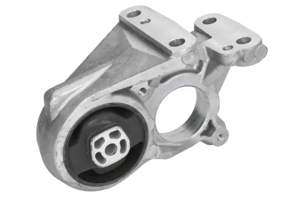 REINHOCH RH11-2221 Mounting, engine