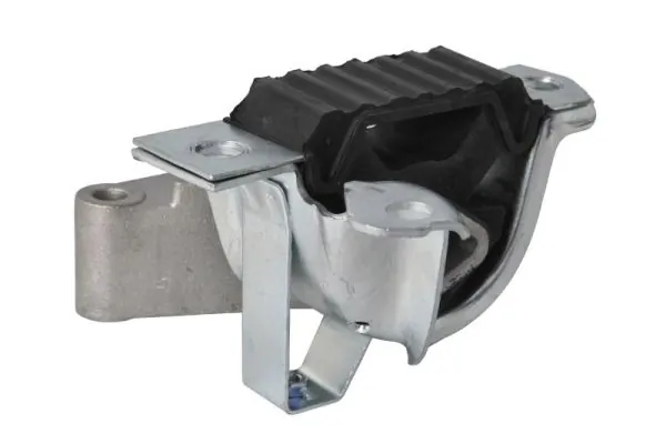 REINHOCH RH11-1098 Mounting, engine