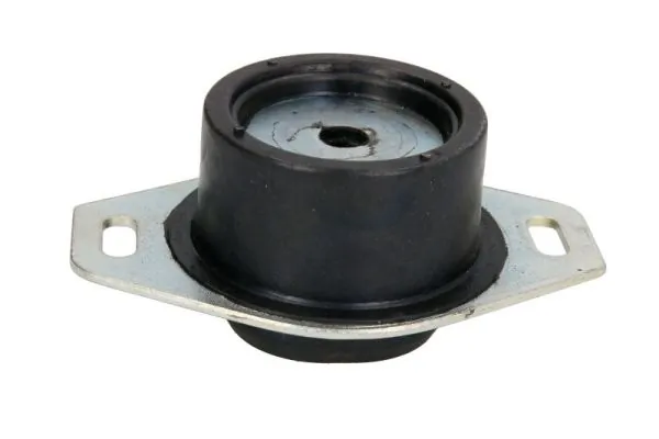 REINHOCH RH11-1004 Mounting, engine
