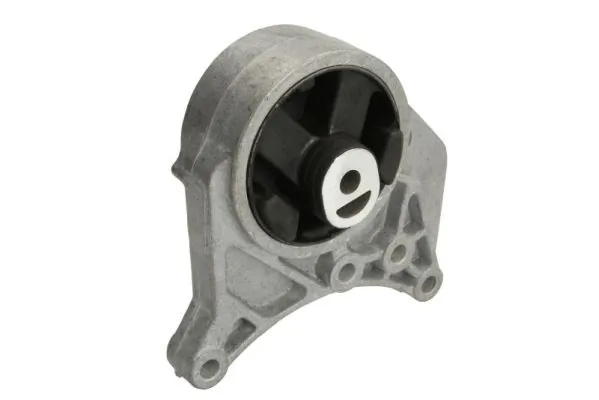 REINHOCH RH11-6009 Mounting, engine