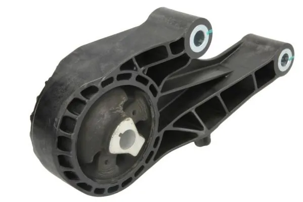 REINHOCH RH11-5055 Mounting, engine