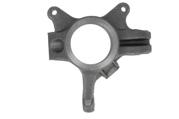 Steering Knuckle, wheel suspension RH08-5021