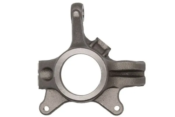 Steering Knuckle, wheel suspension RH08-5018