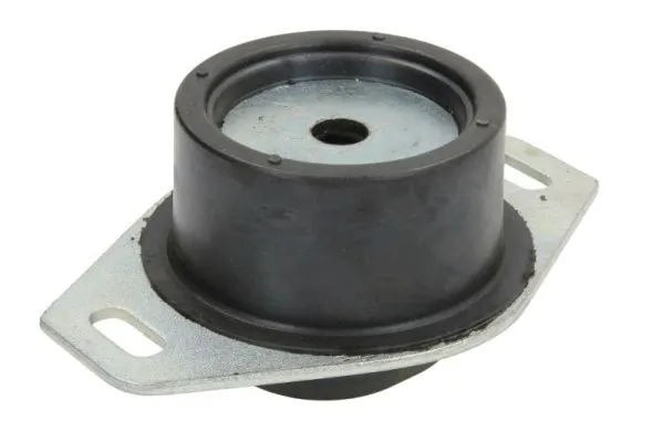 REINHOCH RH11-1004 Mounting, engine