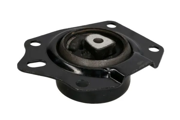 REINHOCH RH11-6024 Mounting, engine
