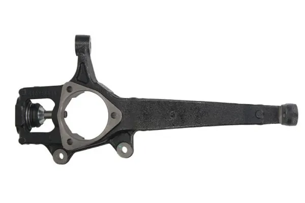 Steering Knuckle, wheel suspension RH08-6001