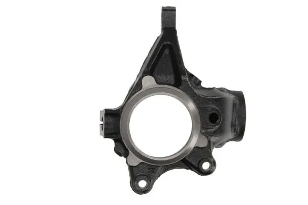 Steering Knuckle, wheel suspension RH08-2030