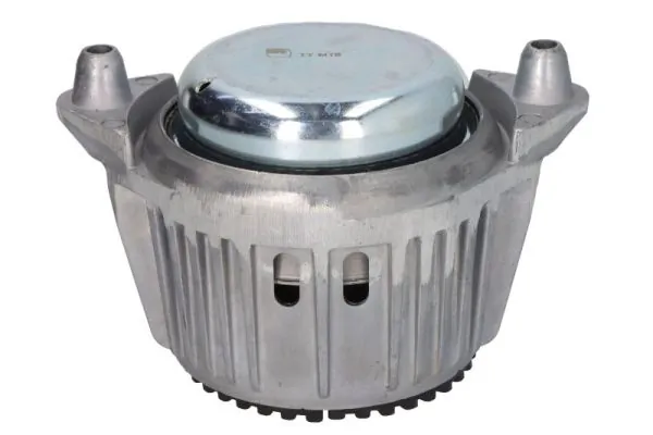 Mounting, engine RH11-3101