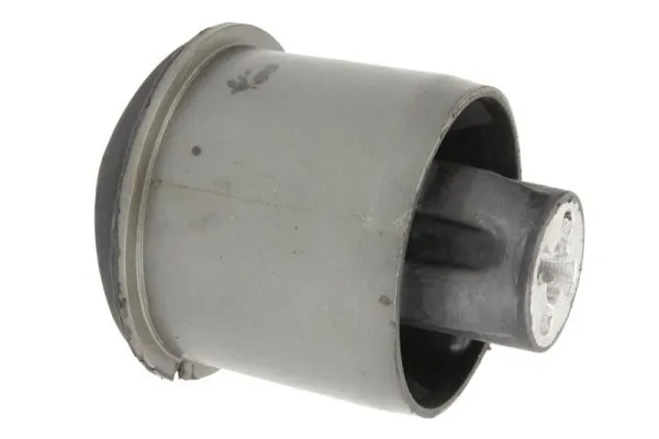 Bushing, axle beam RH20-2019