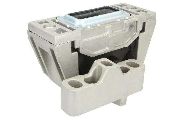 REINHOCH RH11-0131 Mounting, engine