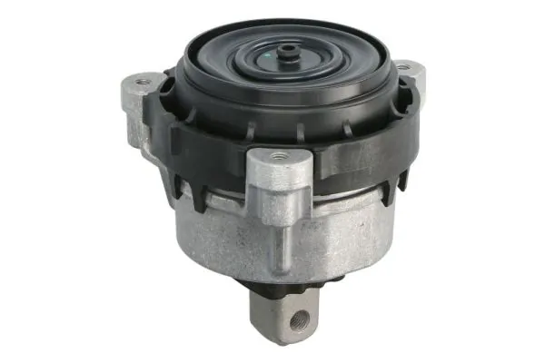 REINHOCH RH11-3139 Mounting, engine