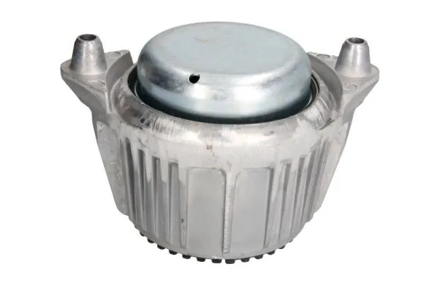 Mounting, engine RH11-3024
