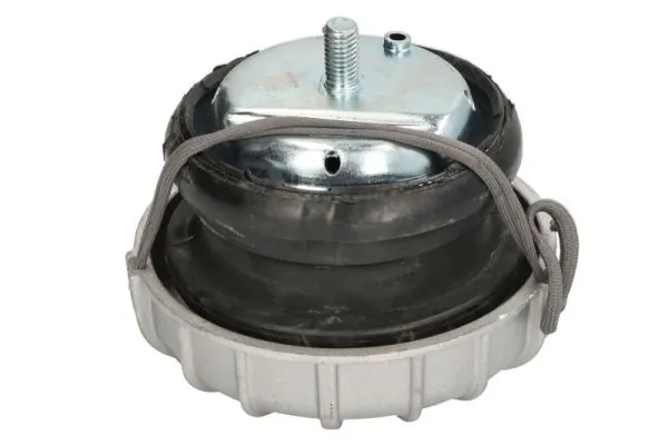 REINHOCH RH11-3162 Mounting, engine