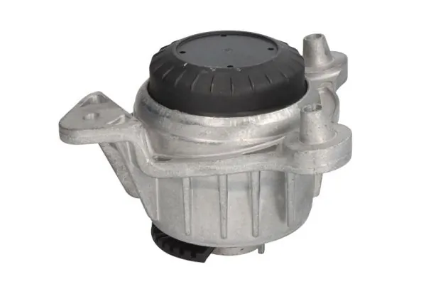 REINHOCH RH11-3129 Mounting, engine
