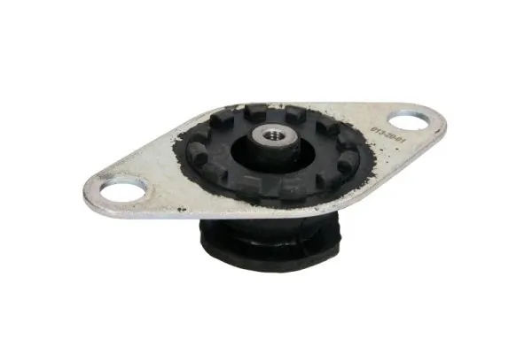 REINHOCH RH11-1007 Mounting, engine