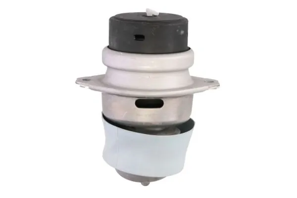 REINHOCH RH11-3164 Mounting, engine