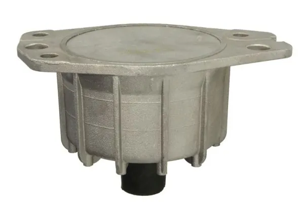 REINHOCH RH11-1085 Mounting, engine