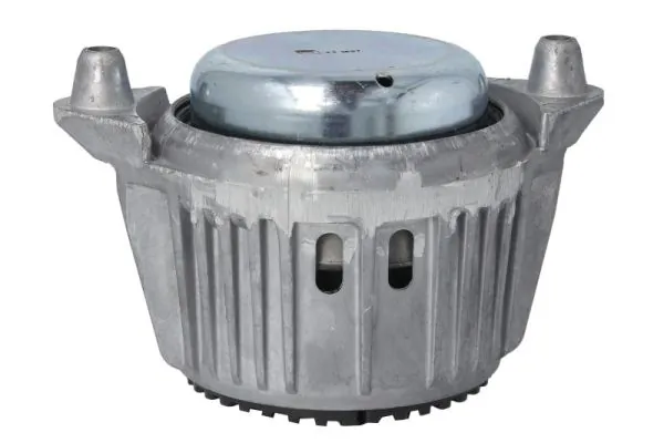 REINHOCH RH11-3119 Mounting, engine