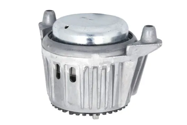 REINHOCH RH11-3118 Mounting, engine