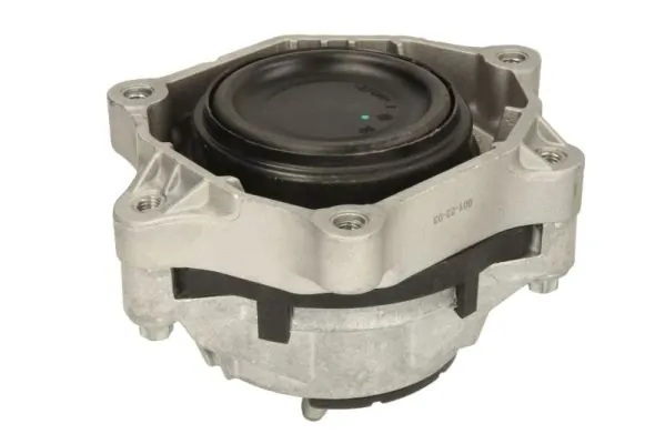 REINHOCH RH11-3111 Mounting, engine