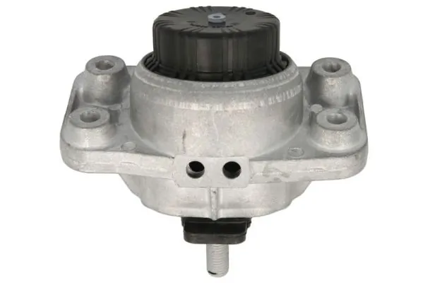 REINHOCH RH11-5090 Mounting, engine