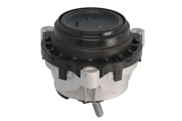 REINHOCH RH11-3066 Mounting, engine