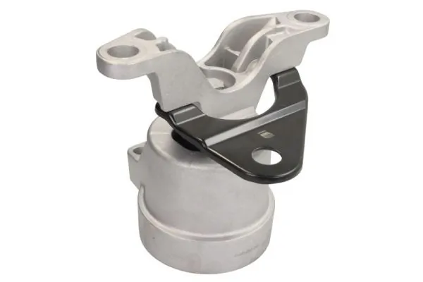 REINHOCH RH11-4079 Mounting, engine