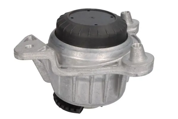 REINHOCH RH11-3120 Mounting, engine