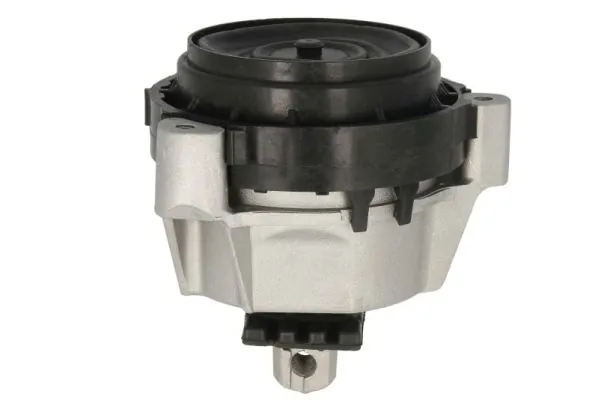 REINHOCH RH11-3115 Mounting, engine