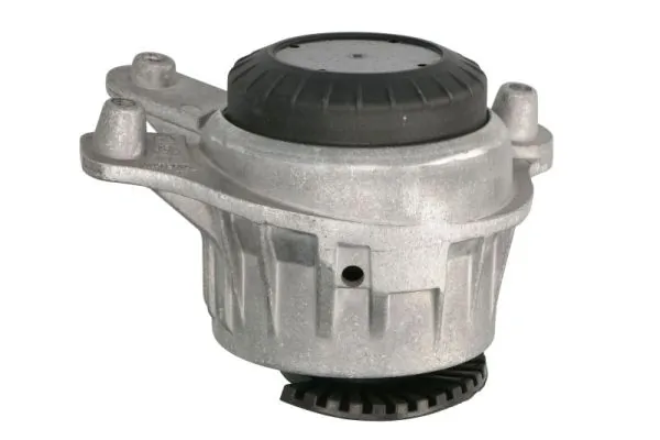 REINHOCH RH11-3096 Mounting, engine
