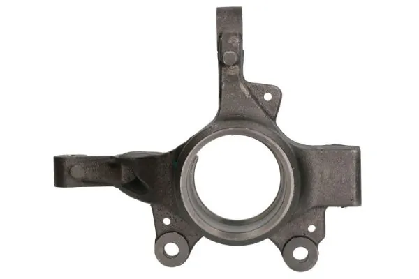 Steering Knuckle, wheel suspension RH08-2021