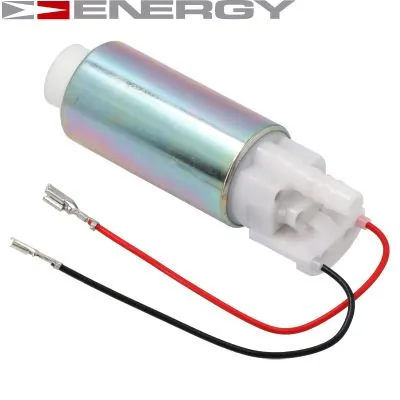 Fuel Pump G10010