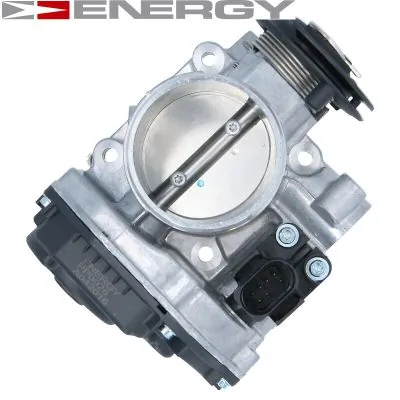 Throttle Body PP0026