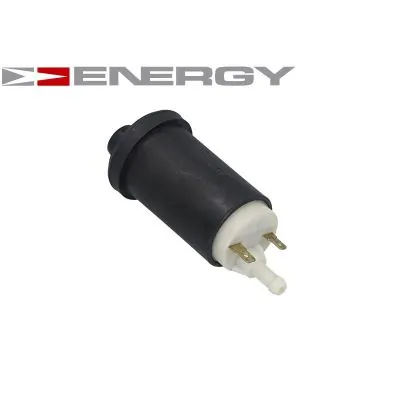 Fuel Pump G10013