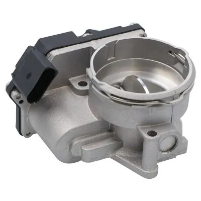 Throttle Body PP0036