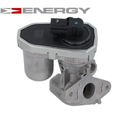 EGR Valve ZE0043