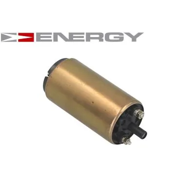 Fuel Pump G10011