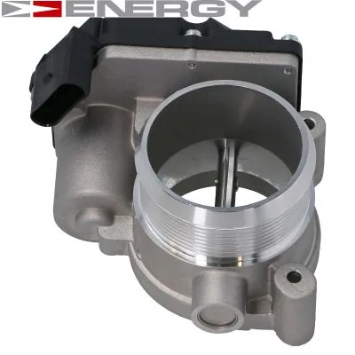 Throttle Body PP0040
