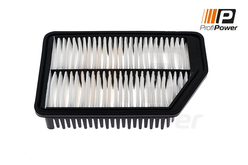 Air Filter 2F0155