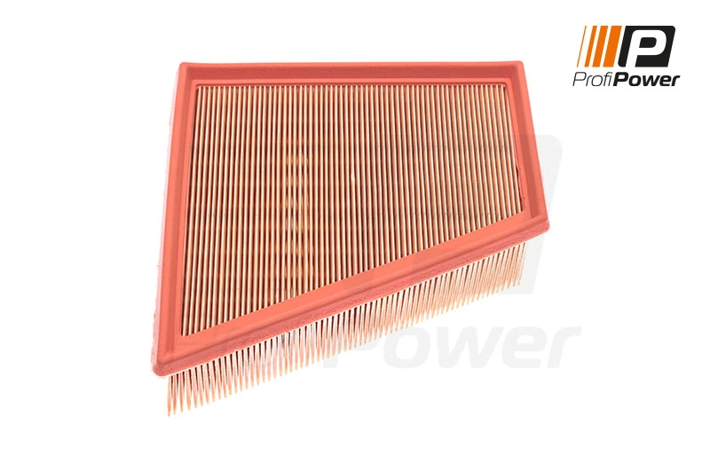 Air Filter 2F0021