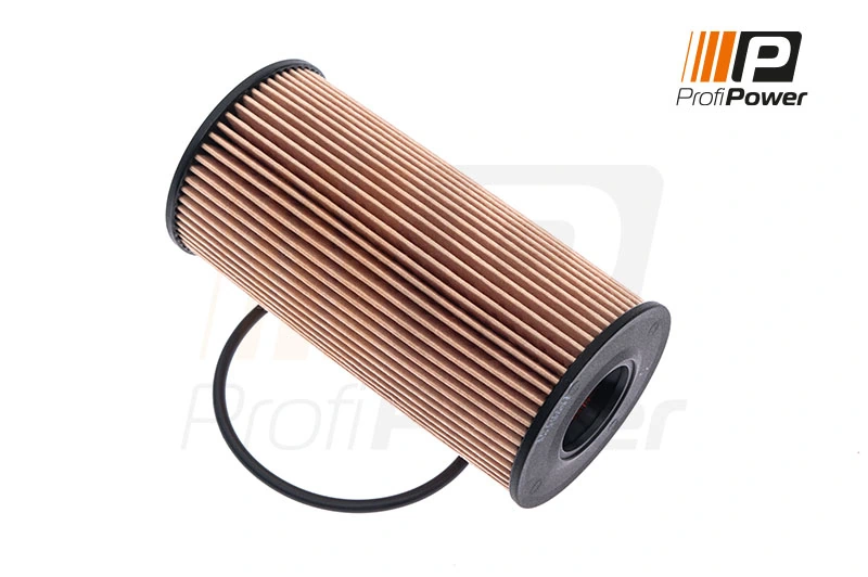Oil Filter 1F0021