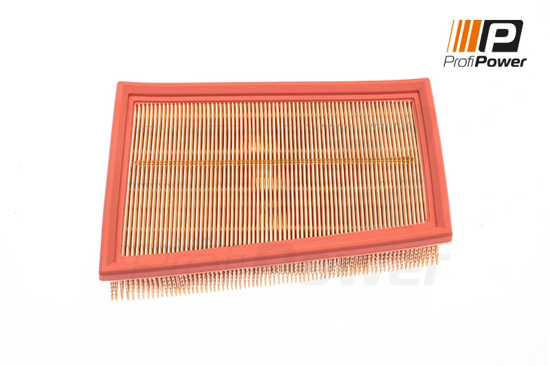 Air Filter 2F0052