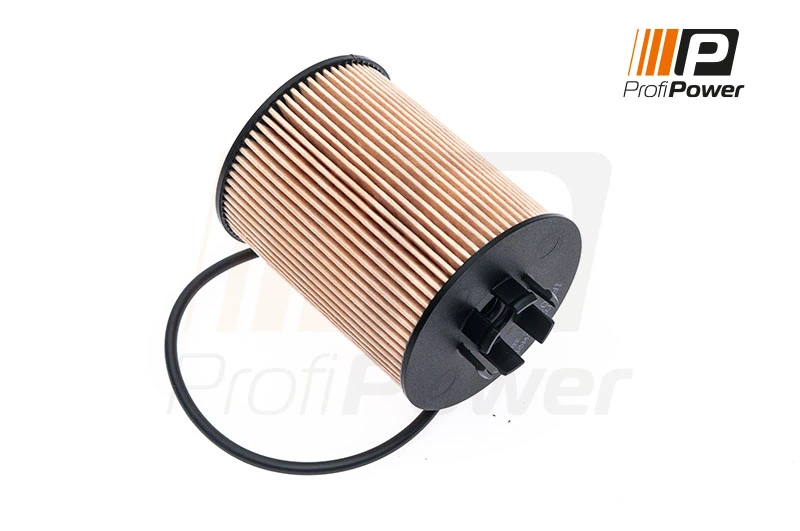 Oil Filter 1F0020