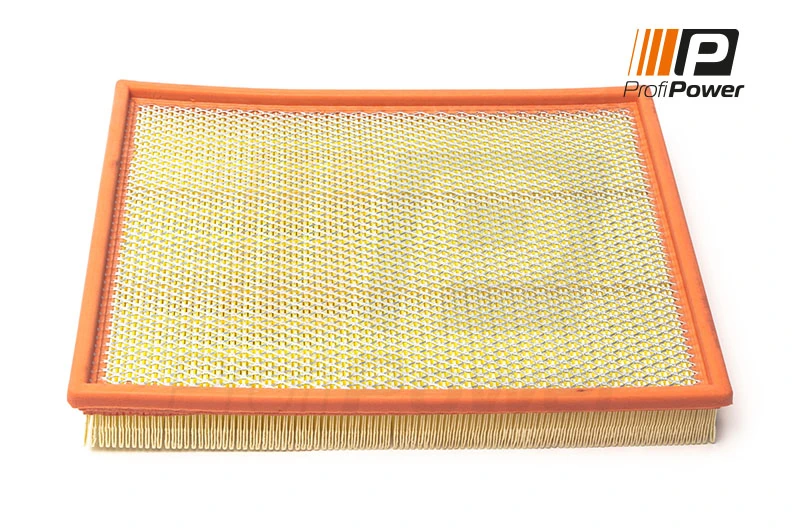Air Filter 2F0181